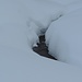 Un piccolo ruscello "buca" la neve e spunta per pochi metri