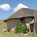 Die Hütte eines sicherlich gut begüterten Basotho - Steinwände und Blumen zeugen hier vom Reichtum