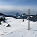 Amselgschwänd bei P1470