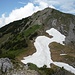 10.06.2008: Am Sommerweg mit Blick zum Gipfel der Scheinbergspitze.