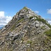 19.06.2011: Der Gipfel der Scheinbergspitze von Nordwesten gesehen.