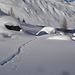 Winter im Val Cantone di Dosde