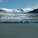La barchetta carica di turisti prosegue senza di noi verso il Glaciar Grey prima di rientrare alla base.