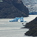 Iceberg nel Lago Grey