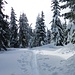 wir betreten Natur