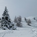 das Spitzhorn zeigt sich
