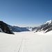 Blick über den Jungfraufirn richtung Konkordiaplatz und weiter zum Grossen Aletschgletscher