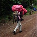 Für mich persönlich die Helden des Kilimanjaro-Abenteuers: Träger auf dem Weg zum Lager 1