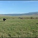 Safari Ngorongoro Crater
