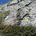 Cordino di Helis-Silvia