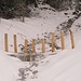 Bachverbauuungen beim Schneeberg