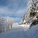 Ein Wintertag wie aus dem Bilderbuch
