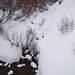 tiefverschneites Bachbett oberhalb Rojen
