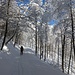 Tanta neve, nel percorso e cielo azzurro ...