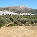 Filoti, ein schönes naxotisches Bergdorf; hier kann noch einmal Proviant eingekauft werden. Im Hintergrund des Zas, seines Zeichens mit 1001m.ü.M. der höchste Gipfel Naxos'.