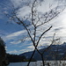 Föhnstimmung und Hasel in voller Blüte