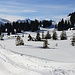 Der Winterwanderweg ab Prodalp nach Panüöl und Alp Fursch; auch ohne Schneeschuhe gut machbar.
