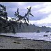 Beach Trail, Ozette Loup, Olympic NP, Washington, USA