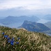 Tiefblicke vom Matthorn-Gipfel aus