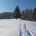 Ein wunderschöner Wintertag und vielen Spuren im Schnee.