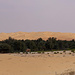 Am Anfang der Liwa-Oase - einem Oasengebiet aus 50 Einzeloasen das sich in einem ca. 100km langen Bogen nördlich der Wüste Rub al-Chali entlangzieht - die Sanddünen werden immer höher.