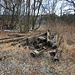 Schwellenhaufen, einige Nebengleise des Bahnhofes sind schon abgebaut