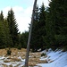 Telegrafenmast