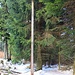 Telegrafenmast