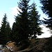 Schwellenhaufen