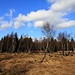 Erzgebirgslandschaft