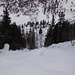 Lustige Abfahrt über Schneebuckel im Wald...