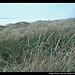 Pazifik vom Oregon Dunes Loop Trail, Oregon Dunes NRA, Oregon, USA