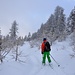 Une forêt idéale pour le ski