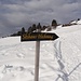 Von der Bergstation des Sesselliftes in Triemel geht's los