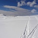 Jedem seine eigene Spur
