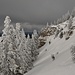 Pente des Merlas, un vrai bonheur à skier
