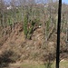 Auf diesem kleinen Hügel unterhalb Ramlinsburg befindes sich die Ruinenreste der Spitzburg.