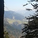 Blick Richtung Osten - Rauhe Nadel Ausläufer