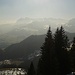 Blick zum König... zum Kaiser! 