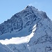 Grivola in primo piano


La Grivola 3969 m
È una delle più belle montagne delle Alpi, e il suo aspetto piramidale la rende riconoscibile da ogni versante. Il poeta Giosuè Carducci l'ha definita «'l'ardua Grivola bella», e il toponimo che contraddistingue questa cima sembra derivare dal termine patois franco-provenzale "grivolina" che sta a significare "giovane ragazza", esattamente come un'altra celebre montagna, la Jungfrau.

