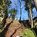 Ich wählte für die letzten 85 Meter den Direktaufstieg vom Strässchen aus Nordnordosten um auf die Ruine Ramstein zu gelangen. Die untere Felsstufe kann an dessen Nordostseite über eine Rinne bequem überwunden werden.