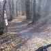 Discesa dal monte San Francesco,seguire il sentiero di dx al bivio successivo,si arriva all Poggio di Sopra,in fondo prendere ancora a dx  e seguire i Bolli rosso/blue sugli alberi. 