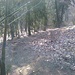 Scendendo al Poggio