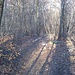 Monte Morto