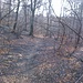 Monte Morto
