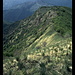 Monte Toraggio, Monte Pietravecchia, Balcon di Marta, Monte Grai und Cima di Marta (von links nach rechts) vom Monte Ceppo, Ligurien, Italien