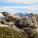 curious rock near Yosemite Point