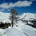 Dall'Alpe di Nana Alta