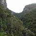 der Weg durch dieses wilde Tal hat mir besonders gut gefallen, oben angekommen wartet dann [http://de.wikipedia.org/wiki/Páramo_(Vegetation) der Páramo] und somit eine andere Vegetation
