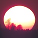 Farbenspiele in der Sonne von hell zu...<br /><br />Giocchi di luce nel sole da chiaro a...